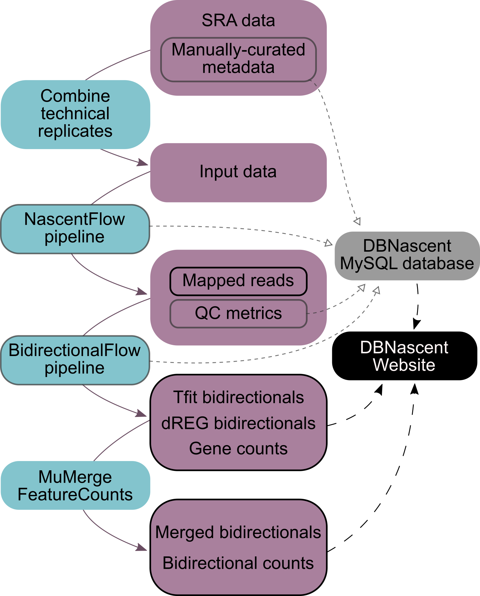 dbNascent methods flowchart